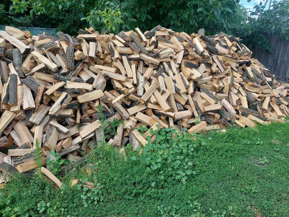 Дрова рубані та в колодках