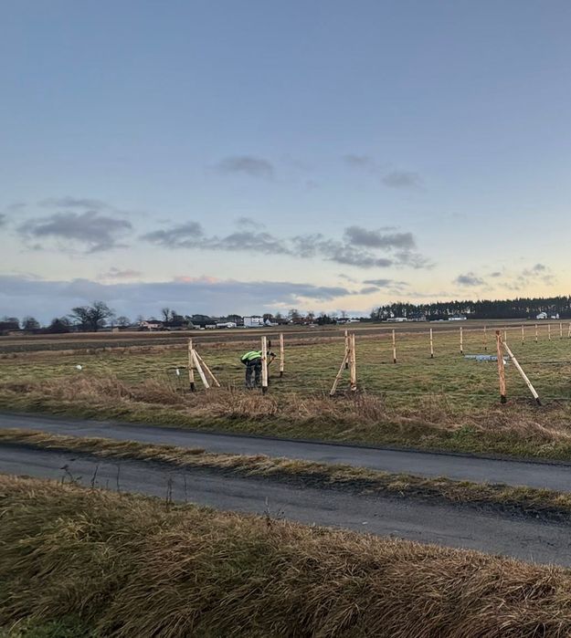 Ogrodzenie budowlane, leśne, tymczasowe