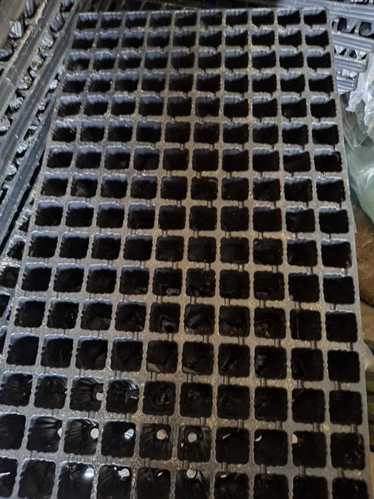 Paleta wysiewna, rozsadowa