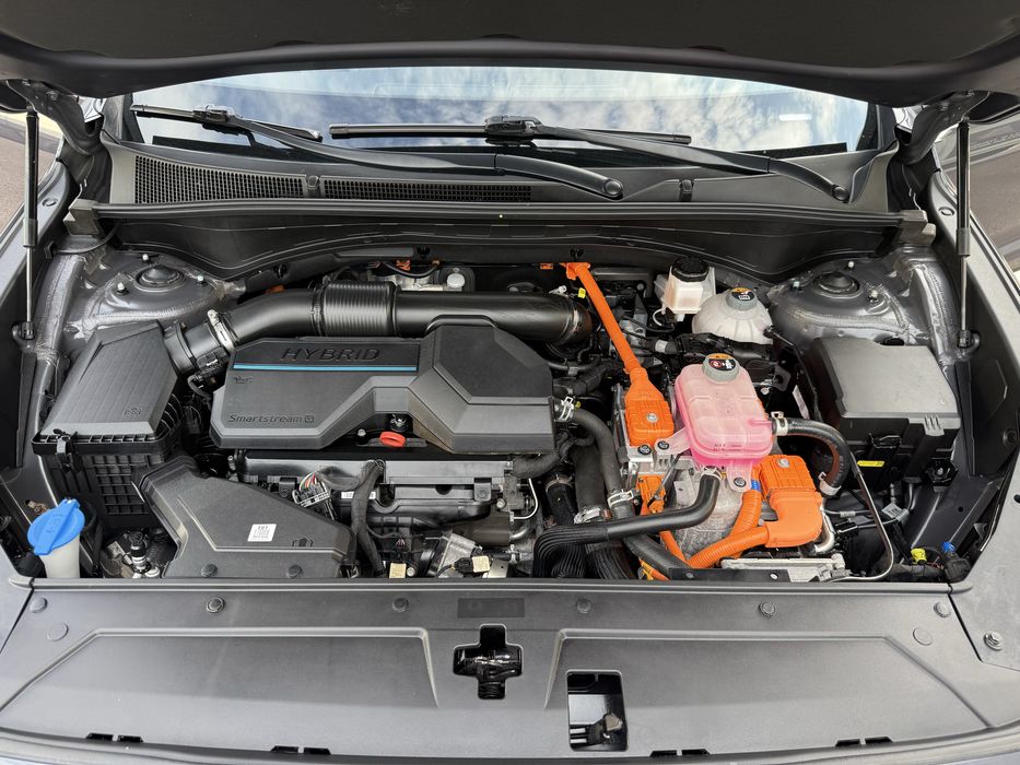 Hyundai Santa FE 2020 VIN KM8S3DA19MU003083 фото оголошення 17 з 17
