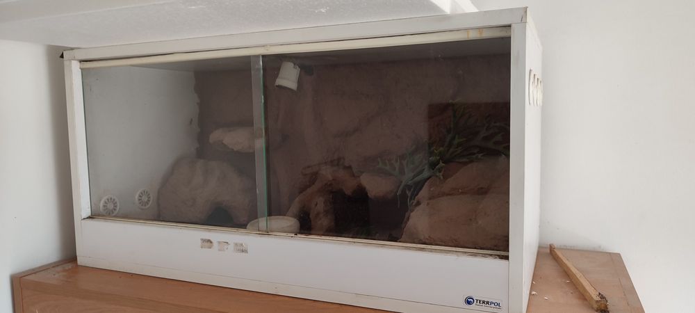 Terrarium z wystrojem
