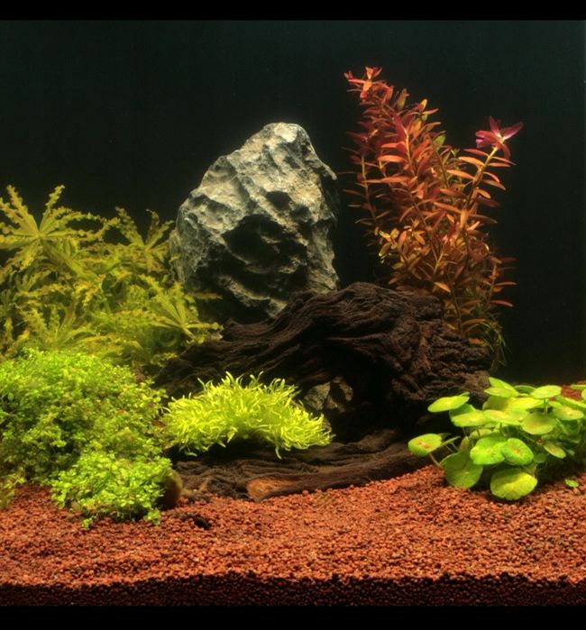 JBL Mandao Naturalny Substrat 25L