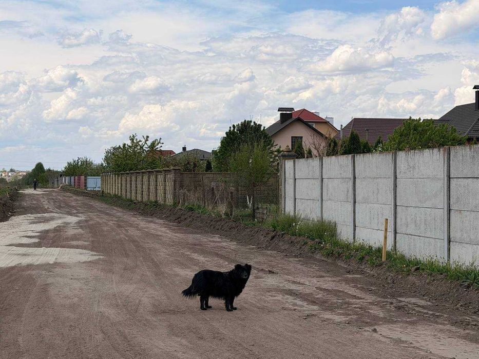 9 соток на Агропереробці