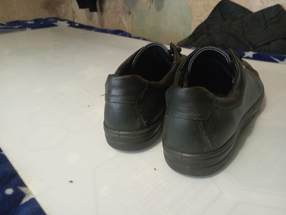 Туфлі єкко нат.шкіра