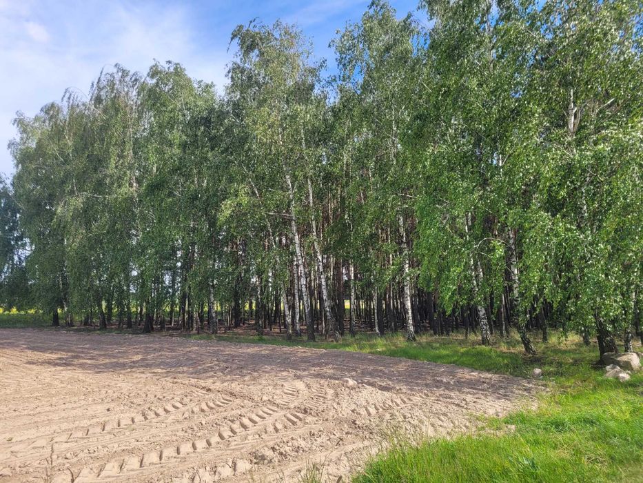 Działka Budowlana  1885 m² , ZIEMIA ROLNA,Las- 3,45ha , - Vista 5