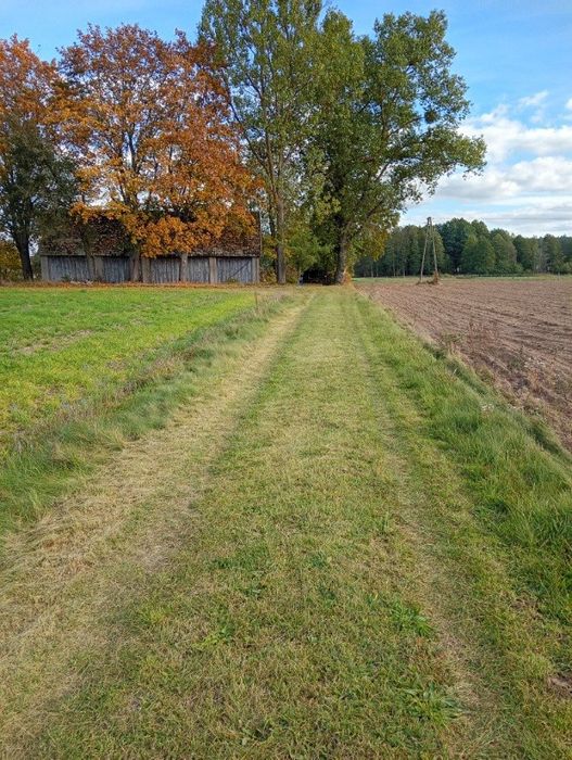 Siedlisko Kundzicze - Trejgle