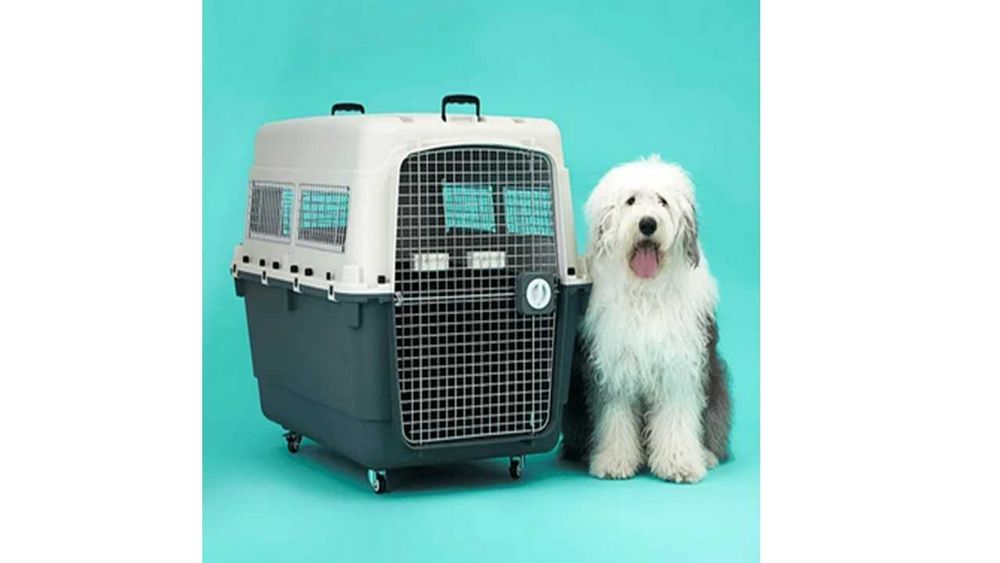 Caixa nova de Transporte para Cães