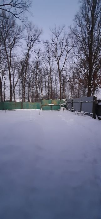 Затишний будинок в тихому місці Чернігова