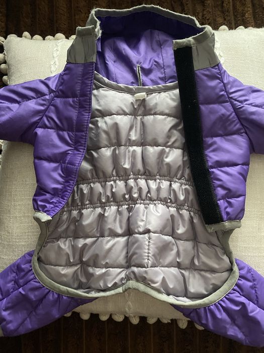 Одяг для собак р XS 25