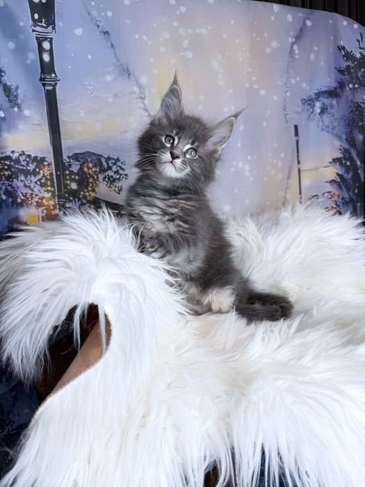 Милий малюк мей  кун