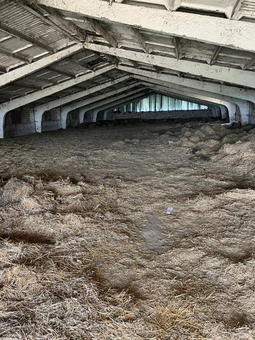 Молочно товарна ферма