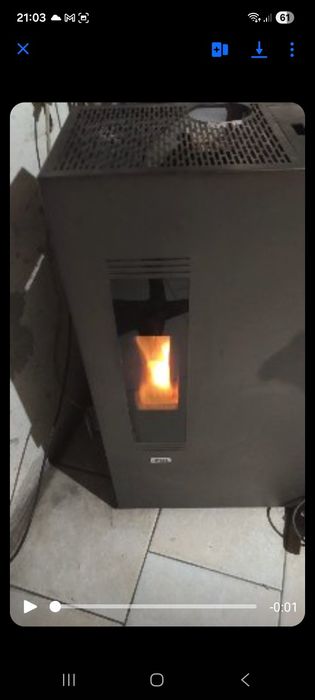 Vendo esse salamandra
