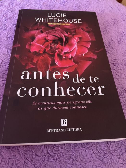 Antes de te conhecer - livro