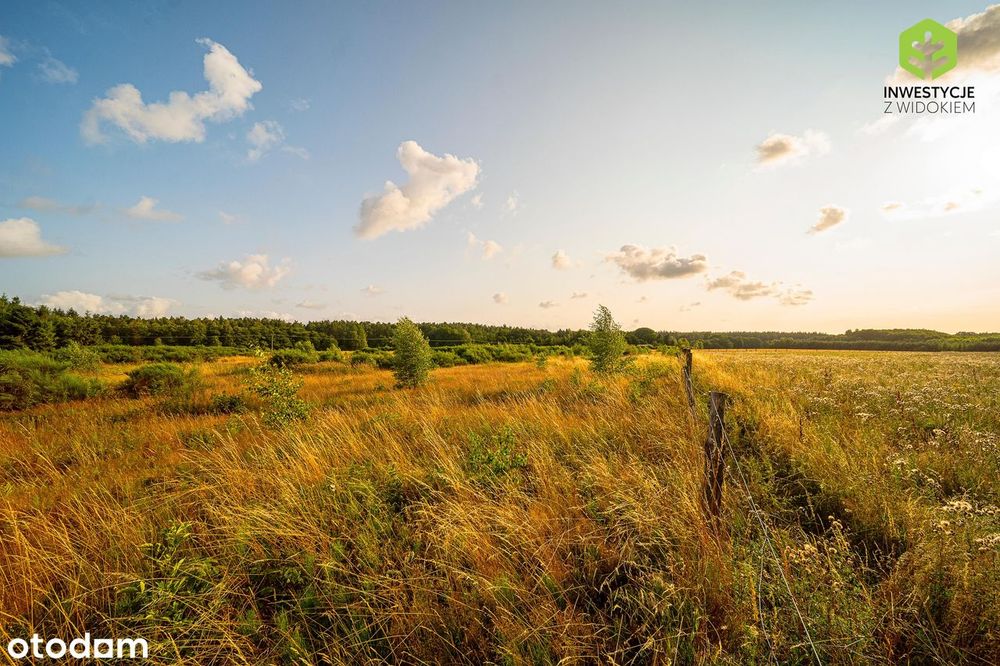 OKAZJA! Działka budowlana 7 km od plaży w Łebie