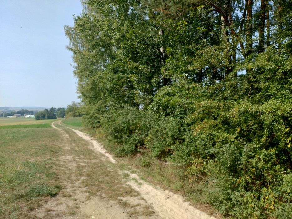 Piękna działka leśno rekreacyjna