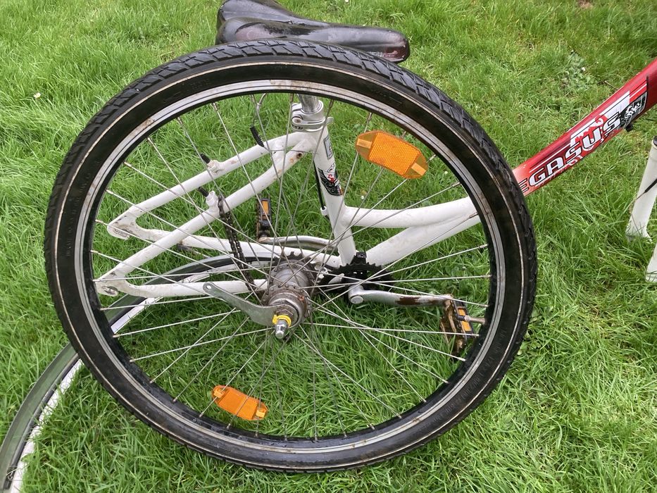 Rower miejski Pegasus