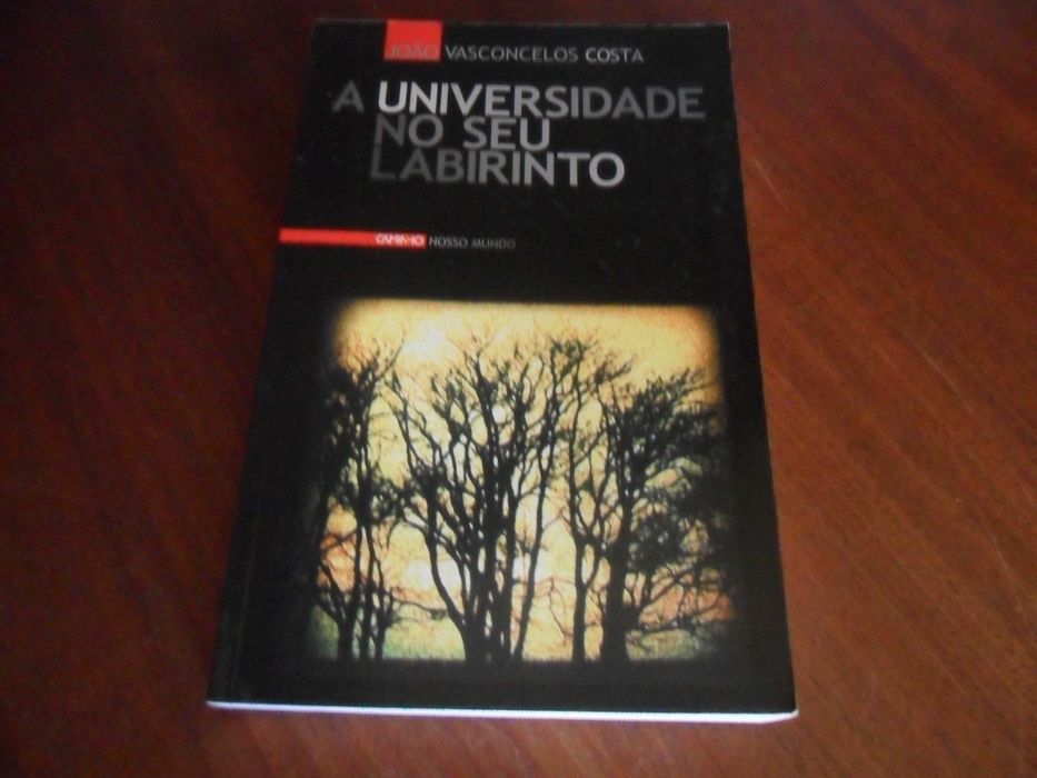 "A Universidade no seu Labirinto" de João Vasconcelos Costa - 1ª Edição de 2001