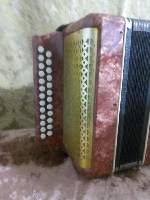 Гармошка цільномланочна