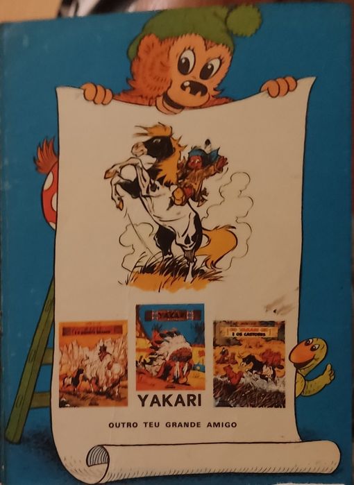 Petzi na ilha das tartarugas