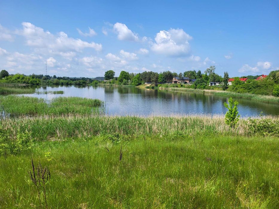 Ділянка 30 сот. Прямий вихід до озера