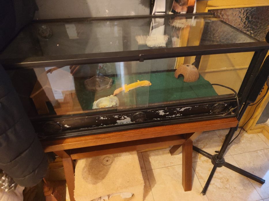 vendo aquario com movel