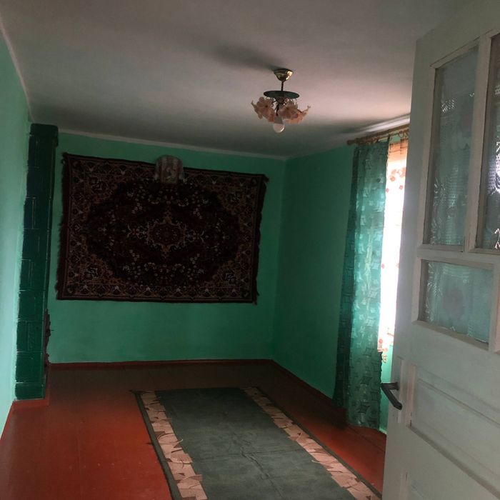 Будинок в Карпатах, біля лісу