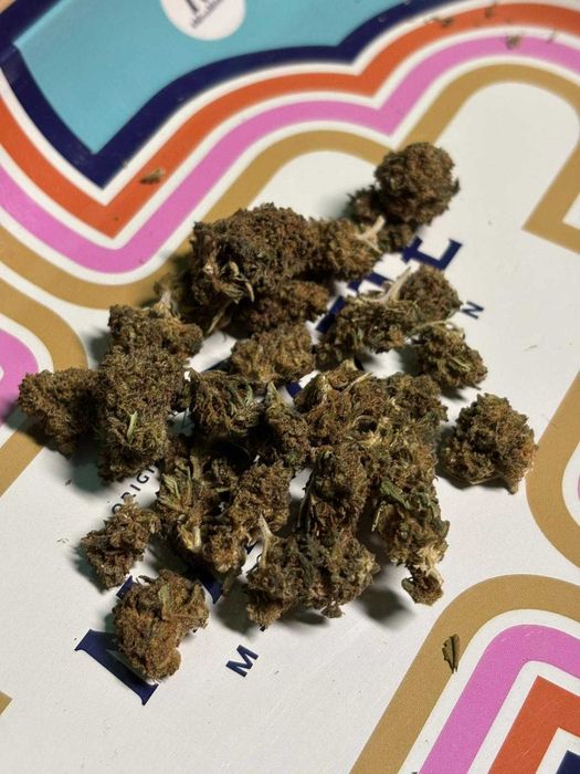 susz konopny CBD / Kwiaty CBD Premium – Cytrusowa Supernowa
