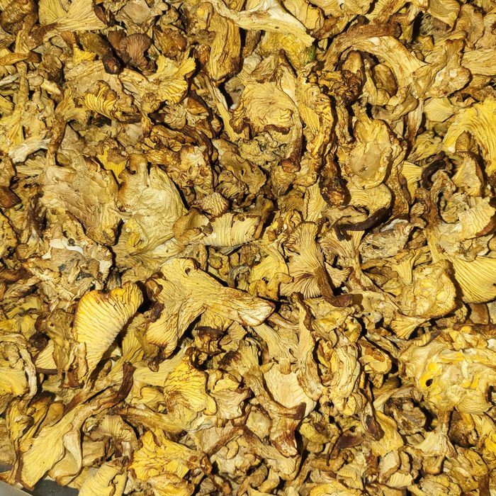 Лисичка Карпатська 100 г