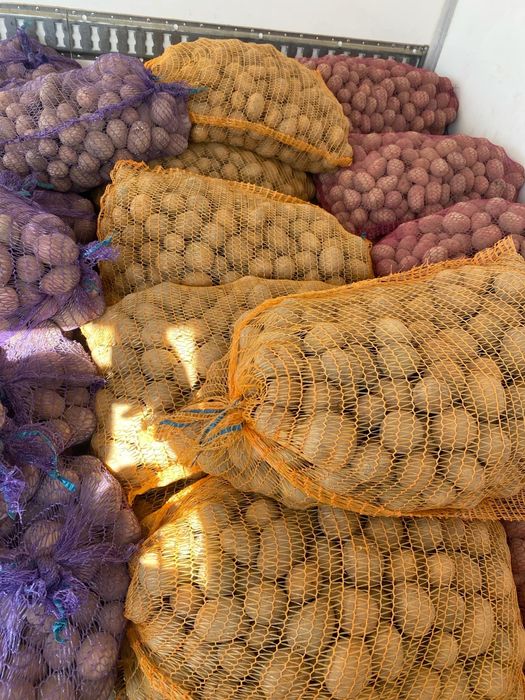 Warzywa ziemniaki hurt detal