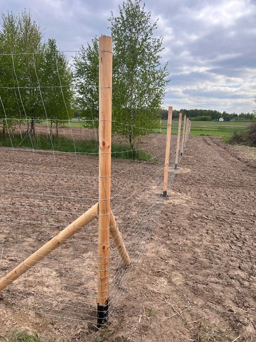 Ogrodzenie Leśne Budowlane