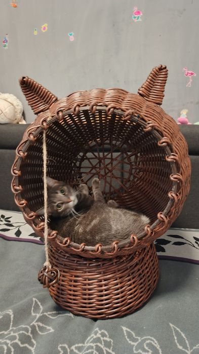 Котобудиночок з ротангу