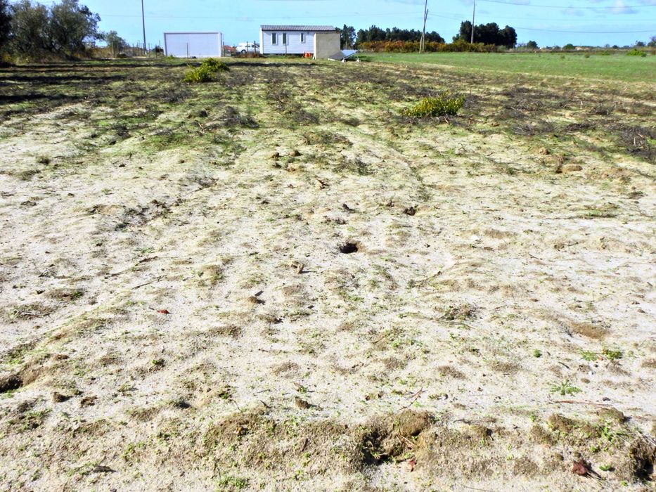 Quinta Rústica  com moradia  Luz Água e Saniamento em autonomia total