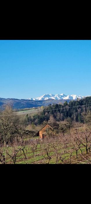 Działki budowlane Jastrzębie