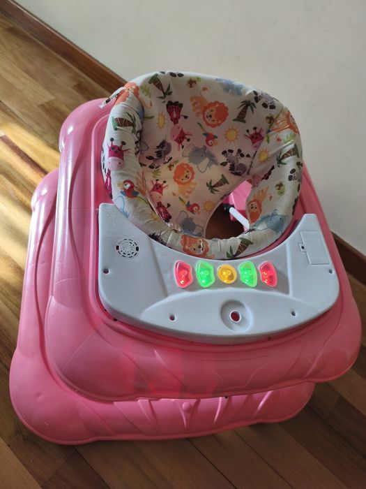 Aranha andarilho primeiros passos