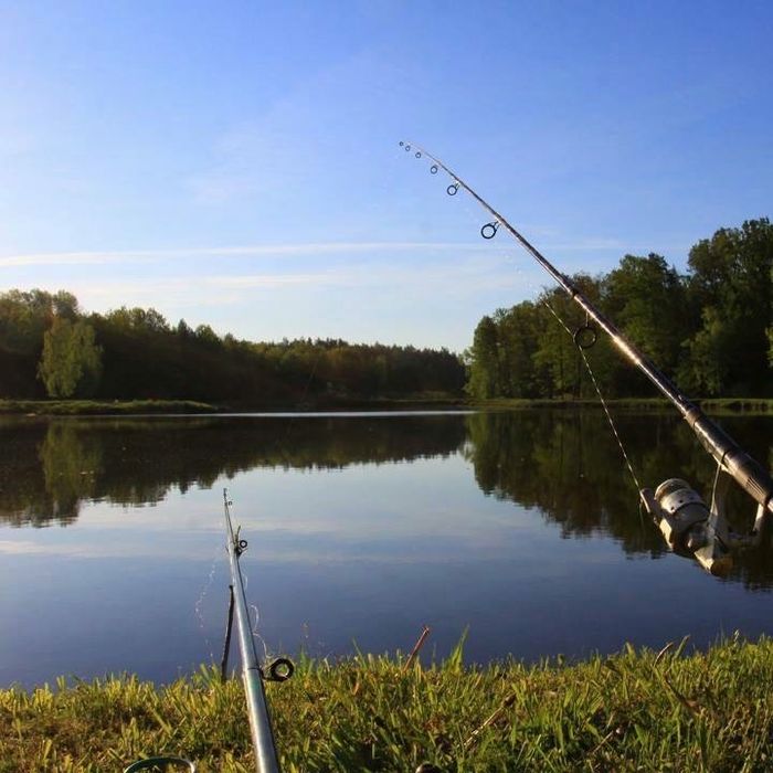 Новорічні свята. Оренда котеджів під Києвом подобово