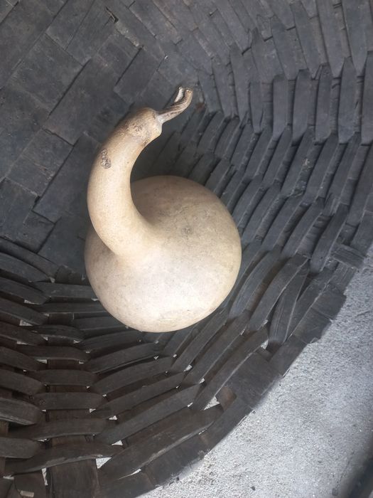 Cabaças para artesanato