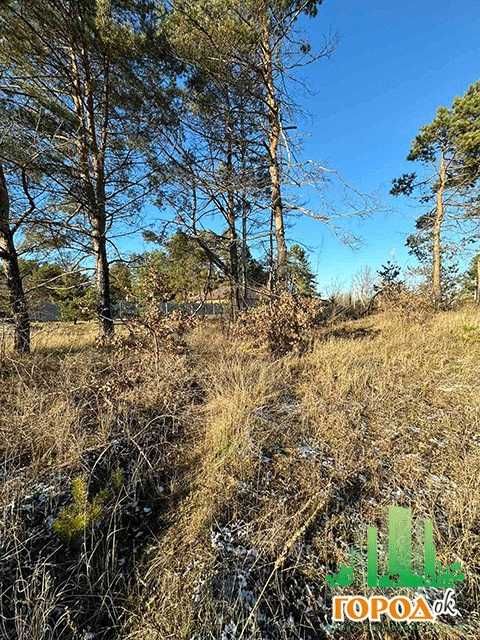 Ділянка село Сокирна неподалік Дніпра (300 метрів)