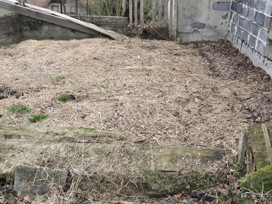 Obornik kurzy,króliczy do oddania