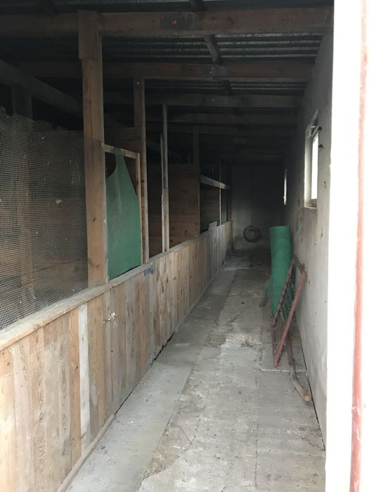 Dom, stajnia i duża działka 1,4 h. Blisko Poznania