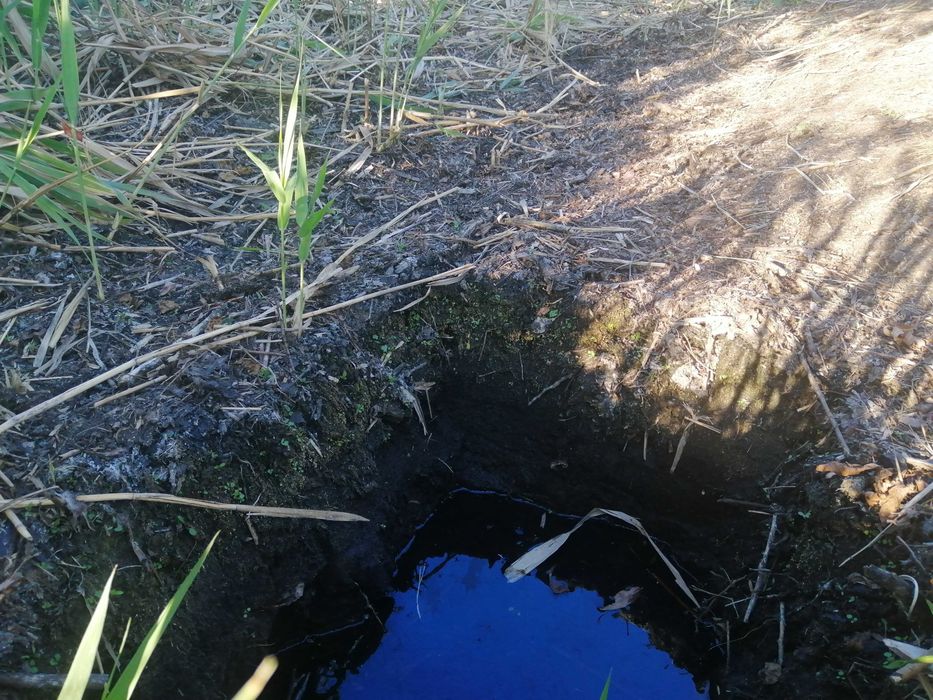 Torf humus próchnica ODDAM ZA DARMO