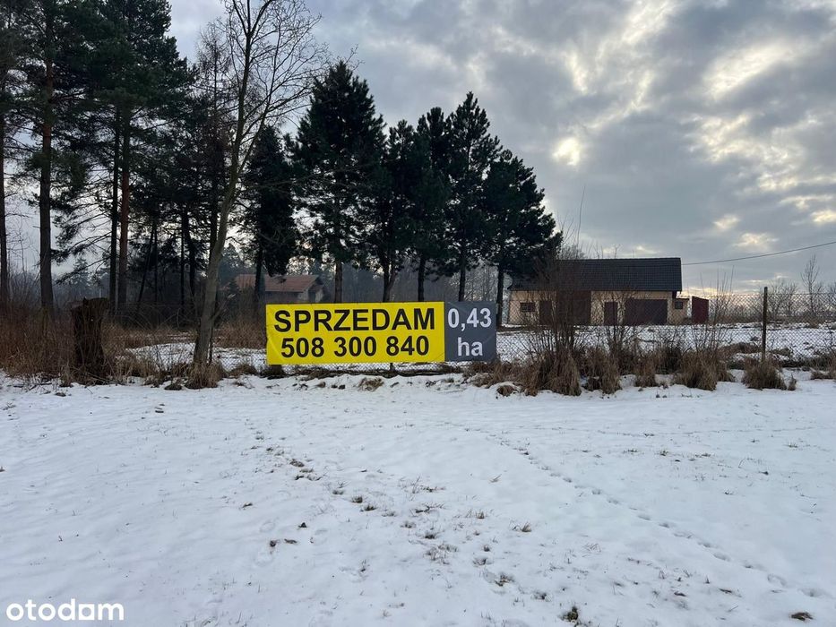 Cieszyn Działka budowlana 4300 m² na sprzedaż