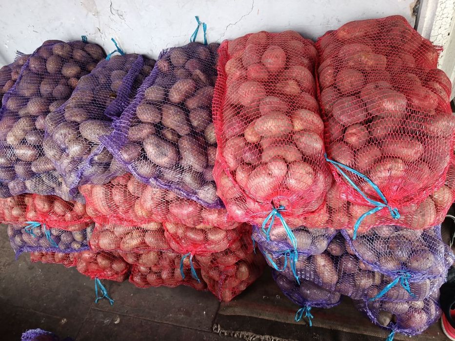 Продам крупну картошку 8 грн