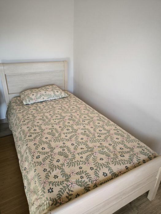 Camisa solteiro madeira maciça