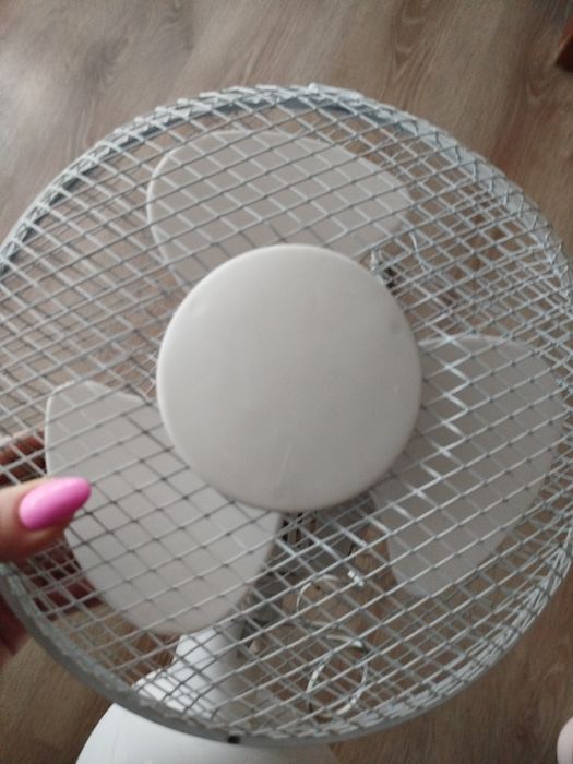 TriStar mały wentylator biurkowy