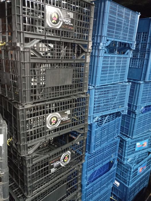 Продам пласмасові ящики.
