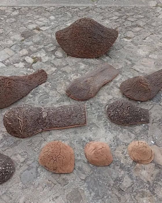 Cochos em cortiça