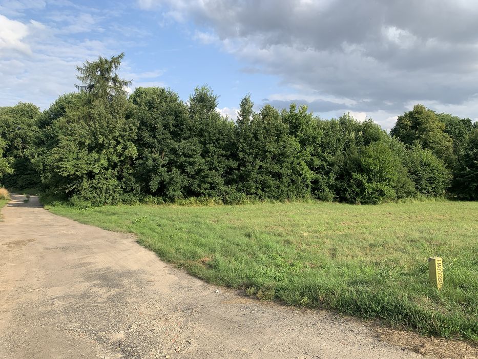Sprzedam Działka Budowlana Sarnów Byczyna Kluczbork