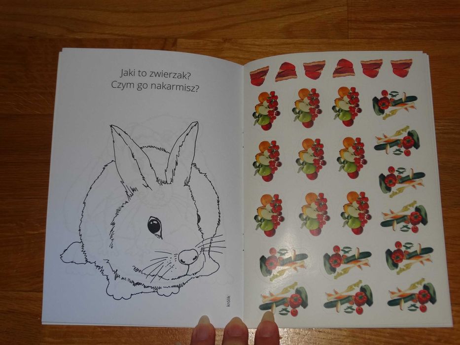 Kolorowanka z naklejkami Zwierzęta Czym mnie nakarmisz? Nowa