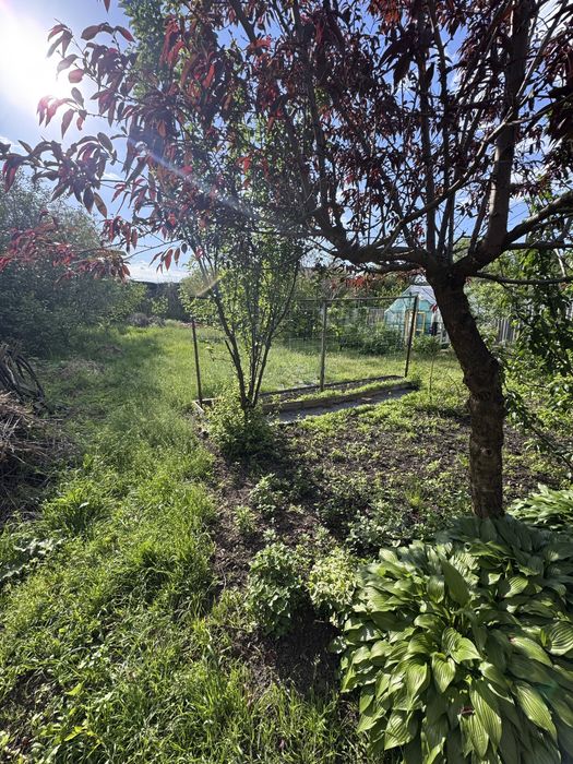Продаж будинку вулиця Житня