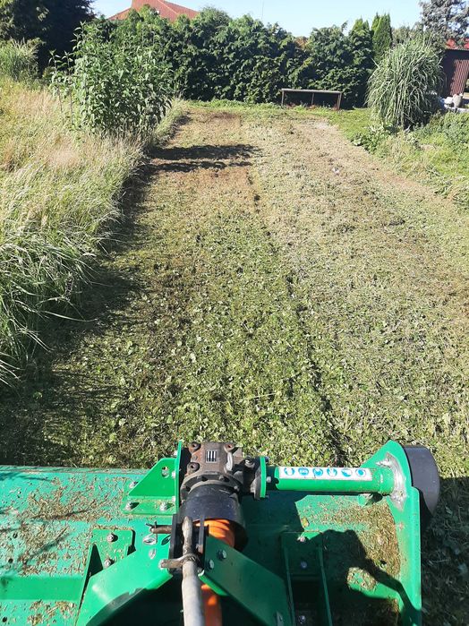 Karczowanie działek, koszenie, cięcie żywopłotów, drzew, wertykulacja